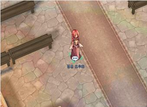 Assistente de Casamento